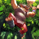 Illustration for article titled Free Realms Trading Card Game Gets Real
